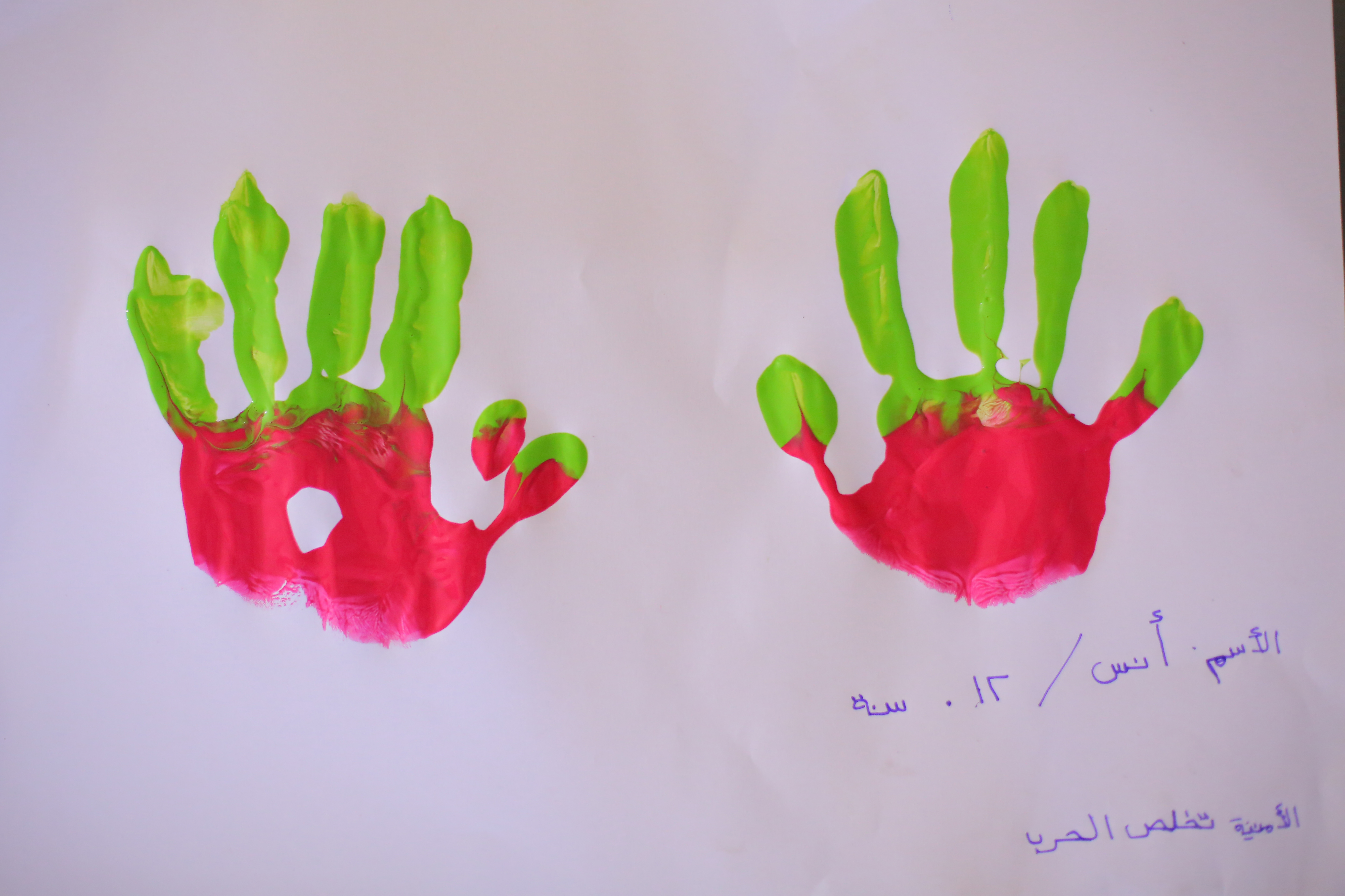 NOOR-003
