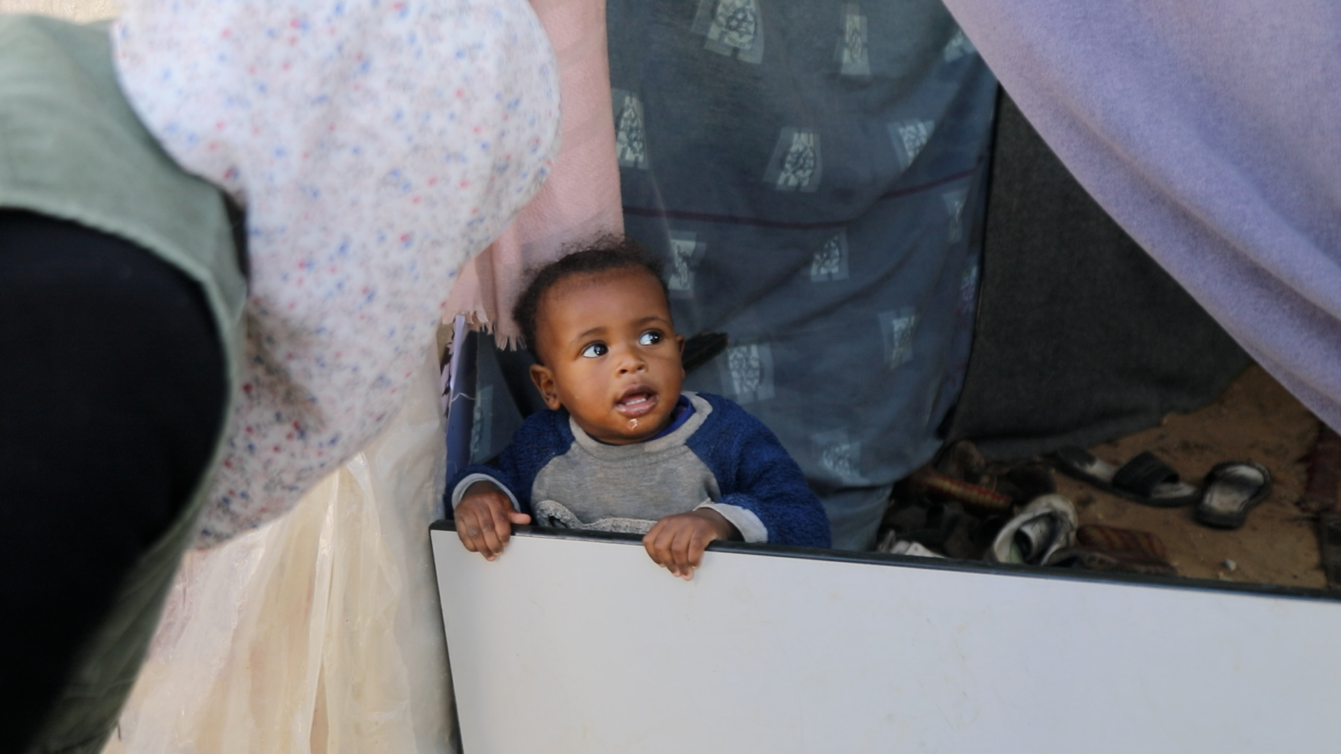 زكاة لفلسطين